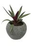  Product image 2 of the product “Round vessel, basanite ”